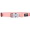 Show in main carousel: Red Dingo Bucklebone Classic Pastel Nylon Dog Collar, Orange, Small: 9.5 to 14-in neck, 5/8-in wide slide 2 of 7