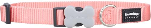Show full view: Red Dingo Bucklebone Classic Pastel Nylon Dog Collar, Orange, Small: 9.5 to 14-in neck, 5/8-in wide slide 2 of 7