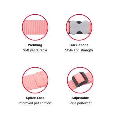 Show full view: Red Dingo Bucklebone Classic Pastel Nylon Dog Collar, Orange, Small: 9.5 to 14-in neck, 5/8-in wide slide 3 of 7