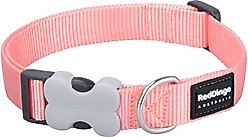 Red Dingo Bucklebone Classic Pastel Nylon Dog Collar, Orange, X-Small: 8 to 12.5-in neck, 1/2-in wide