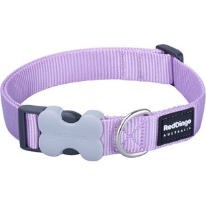 Red Dingo Bucklebone Classic Pastel Nylon Dog Collar, Purple, Large: 16.5 to 25-in neck, 1-in wide