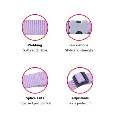 Show full view: Red Dingo Bucklebone Classic Pastel Nylon Dog Collar, Purple, Small: 9.5 to 14-in neck, 5/8-in wide slide 3 of 8