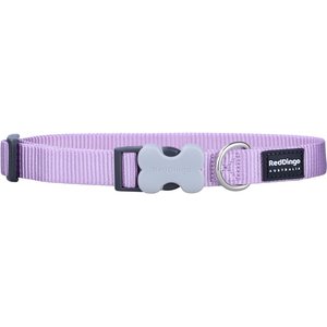 Red Dingo Bucklebone Classic Pastel Nylon Dog Collar, Purple, Small: 9.5 to 14-in neck, 5/8-in wide