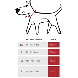 Red Dingo Bucklebone Classic Pastel Nylon Dog Collar, Purple, Small: 9.5 to 14-in neck, 5/8-in wide