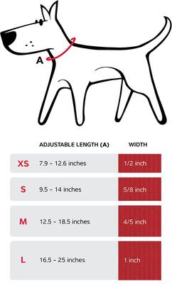 Show full view: Red Dingo Bucklebone Classic Pastel Nylon Dog Collar, Purple, Small: 9.5 to 14-in neck, 5/8-in wide slide 6 of 8