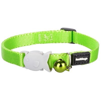 Red Dingo Red Dingo Classic Kitten Collar, Green