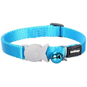 Red Dingo Classic Kitten Collar, Turquoise