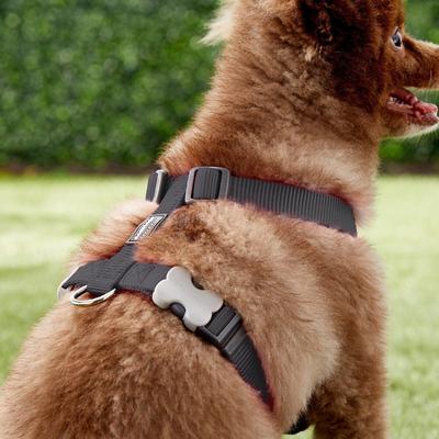 Show full view: Red Dingo Classic Nylon Back Clip Dog Harness, Black, Medium: 17.7 to 26-in chest slide 3 of 10