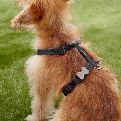Show full view: Red Dingo Classic Nylon Back Clip Dog Harness, Black, Small: 14.2 to 21.3-in chest slide 3 of 10