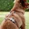 Show in main carousel: Red Dingo Classic Nylon Back Clip Dog Harness, Brown, Medium: 17.7 to 26-in chest slide 3 of 9