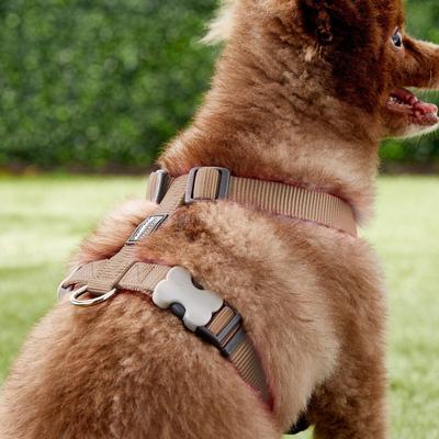 Show full view: Red Dingo Classic Nylon Back Clip Dog Harness, Brown, Medium: 17.7 to 26-in chest slide 3 of 9