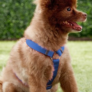 Red Dingo Classic Nylon Back Clip Dog Harness, Dark Blue, Medium: 17.7 to 26-in chest