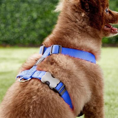 Show full view: Red Dingo Classic Nylon Back Clip Dog Harness, Dark Blue, Medium: 17.7 to 26-in chest slide 4 of 11