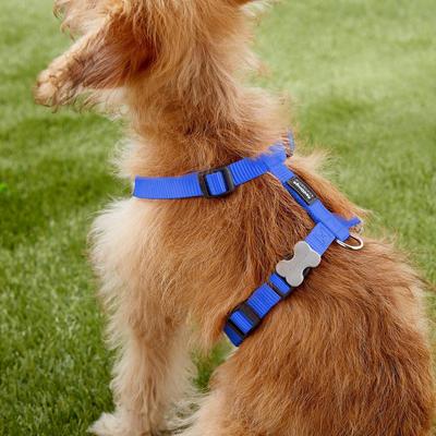 Show full view: Red Dingo Classic Nylon Back Clip Dog Harness, Dark Blue, Small: 14.2 to 21.3-in chest slide 3 of 10