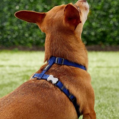 Show full view: Red Dingo Classic Nylon Back Clip Dog Harness, Dark Blue, X-Small: 11.8 to 17.3-in chest slide 3 of 10