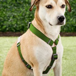 Red Dingo Classic Nylon Back Clip Dog Harness, Green, Large: 22 to 31.5-in chest slide 2 of 6