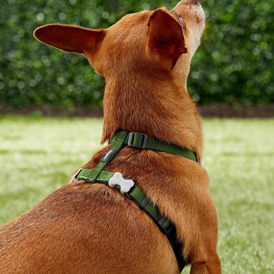 Show full view: Red Dingo Classic Nylon Back Clip Dog Harness, Green, Small: 14.2 to 21.3-in chest slide 4 of 11