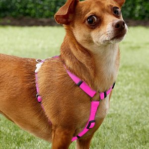 Red Dingo Classic Nylon Back Clip Dog Harness, Hot Pink, Medium: 17.7 to 26-in chest
