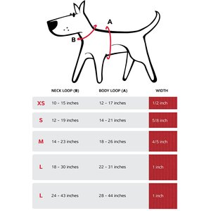 Red Dingo Classic Nylon Back Clip Dog Harness, Hot Pink, Medium: 17.7 to 26-in chest