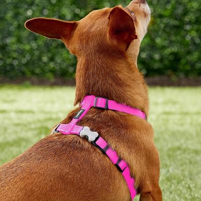 Show full view: Red Dingo Classic Nylon Back Clip Dog Harness, Hot Pink, Small: 14.2 to 21.3-in chest slide 3 of 10