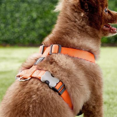 Show full view: Red Dingo Classic Nylon Back Clip Dog Harness, Orange, Medium: 17.7 to 26-in chest slide 3 of 10