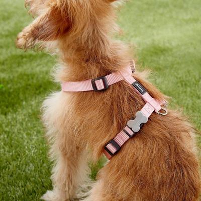 Show full view: Red Dingo Classic Nylon Back Clip Dog Harness, Pink, Small: 14.2 to 21.3-in chest slide 4 of 11
