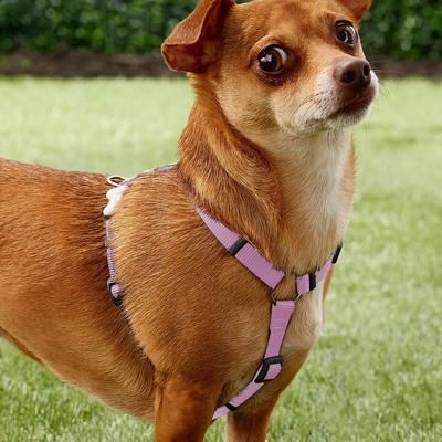 Show full view: Red Dingo Classic Nylon Back Clip Dog Harness, Pink, X-Small: 11.8 to 17.3-in chest slide 2 of 10