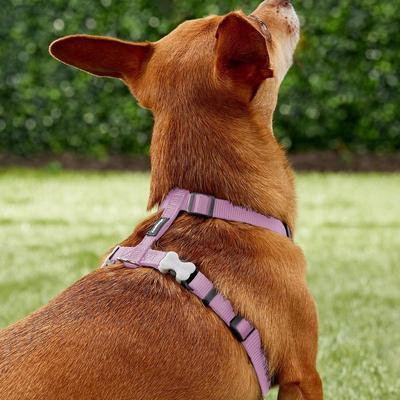 Show full view: Red Dingo Classic Nylon Back Clip Dog Harness, Pink, X-Small: 11.8 to 17.3-in chest slide 3 of 10