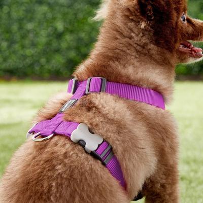Show full view: Red Dingo Classic Nylon Back Clip Dog Harness, Purple, Medium: 17.7 to 26-in chest slide 3 of 10
