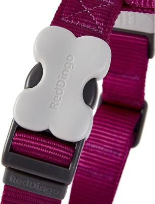 Show full view: Red Dingo Classic Nylon Back Clip Dog Harness, Purple, X-Small: 11.8 to 17.3-in chest slide 5 of 11