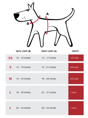 Show full view: Red Dingo Classic Nylon Back Clip Dog Harness, Purple, X-Small: 11.8 to 17.3-in chest slide 7 of 11
