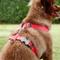 Show in main carousel: Red Dingo Classic Nylon Back Clip Dog Harness, Red, Medium: 17.7 to 26-in chest slide 4 of 11