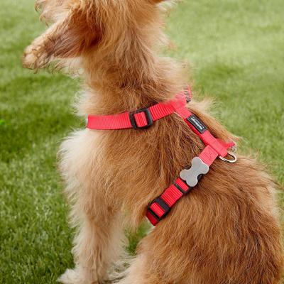 Show full view: Red Dingo Classic Nylon Back Clip Dog Harness, Red, Small: 14.2 to 21.3-in chest slide 3 of 10