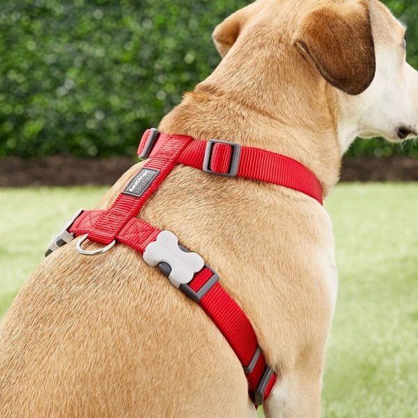 Red Dingo Classic Nylon Back Clip Dog Harness