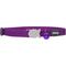 Show in main carousel: Red Dingo Classic Nylon Breakaway Cat Collar with Bell, Purple, 8 to 12.5-in neck, 1/2-in wide slide 2 of 10