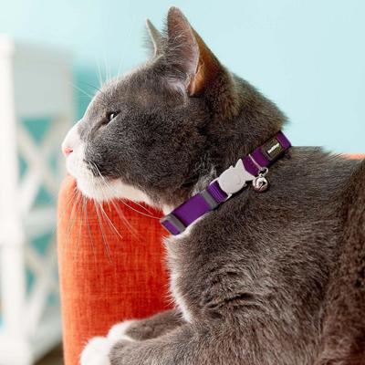 Show full view: Red Dingo Classic Nylon Breakaway Cat Collar with Bell, Purple, 8 to 12.5-in neck, 1/2-in wide slide 3 of 10