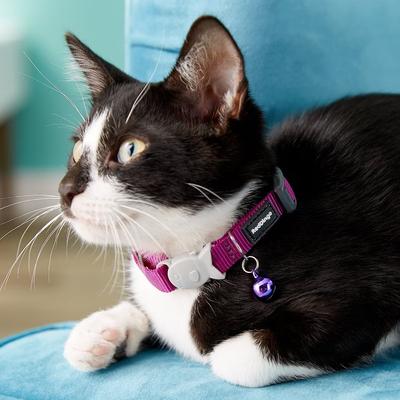Show full view: Red Dingo Classic Nylon Breakaway Cat Collar with Bell, Purple, 8 to 12.5-in neck, 1/2-in wide slide 4 of 10