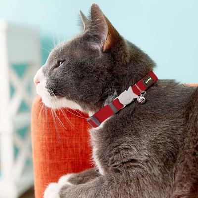 Show full view: Red Dingo Classic Nylon Breakaway Cat Collar with Bell, Red, 8 to 12.5-in neck, 1/2-in wide slide 3 of 10