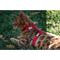 Show in main carousel: Red Dingo Classic Nylon Cat Harness & Leash, Red, 10.6 to 18.9-in chest slide 4 of 10