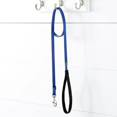 Show full view: Red Dingo Classic Nylon Dog Leash, Blue, X-Small: 6-ft long, 1/2-in wide slide 2 of 11