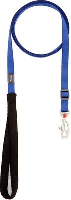 Show full view: Red Dingo Classic Nylon Dog Leash, Blue, X-Small: 6-ft long, 1/2-in wide slide 3 of 11