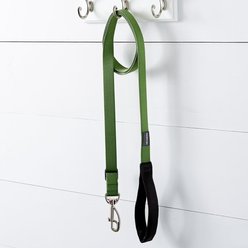 Red Dingo Classic Nylon Dog Leash, Green, Large: 6-ft long, 1-in wide slide 2 of 8