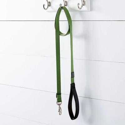 Show full view: Red Dingo Classic Nylon Dog Leash, Green, Medium: 6-ft long, 4/5-in wide slide 3 of 12