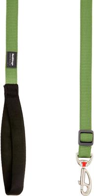 Show full view: Red Dingo Classic Nylon Dog Leash, Green, Medium: 6-ft long, 4/5-in wide slide 5 of 12