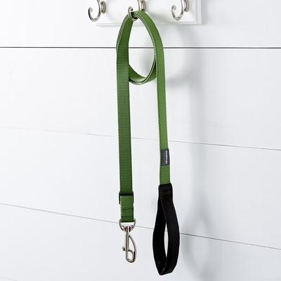 Show full view: Red Dingo Classic Nylon Dog Leash, Green, Small: 6-ft long, 5/8-in wide slide 3 of 12