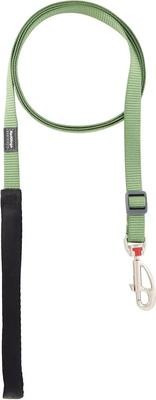 Show full view: Red Dingo Classic Nylon Dog Leash, Green, Small: 6-ft long, 5/8-in wide slide 4 of 12