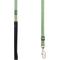 Show in main carousel: Red Dingo Classic Nylon Dog Leash, Green, Small: 6-ft long, 5/8-in wide slide 5 of 12