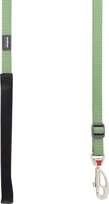 Show full view: Red Dingo Classic Nylon Dog Leash, Green, Small: 6-ft long, 5/8-in wide slide 5 of 12