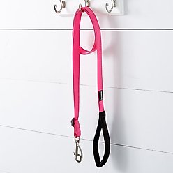 Red Dingo Classic Nylon Dog Leash, Hot Pink, Large: 6-ft long, 1-in wide slide 2 of 8