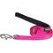 Show in main carousel: Red Dingo Classic Nylon Dog Leash, Hot Pink, Small: 6-ft long, 5/8-in wide slide 1 of 11
